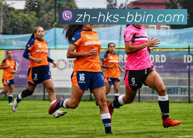 BBIN体育投注平台生态图